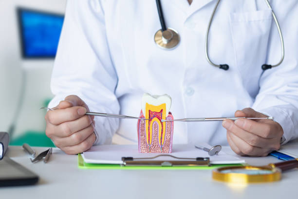 Best Root Canal Emergency Dentist  in Ixonia, WI